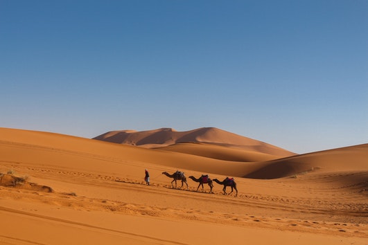 Desert Adventure